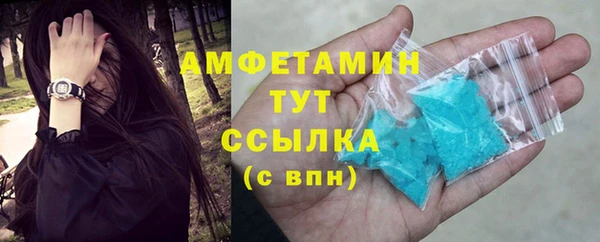 амф Бородино