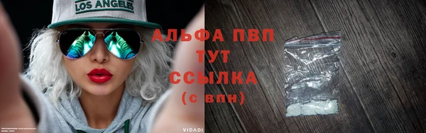 амф Бородино