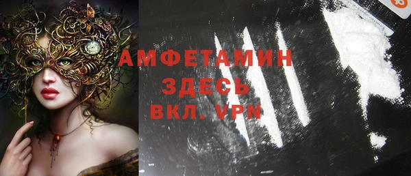 амф Бородино