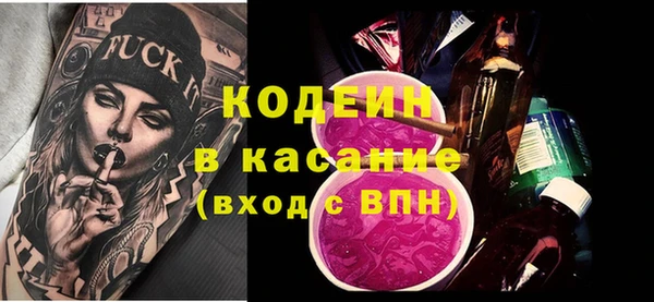 амф Бородино