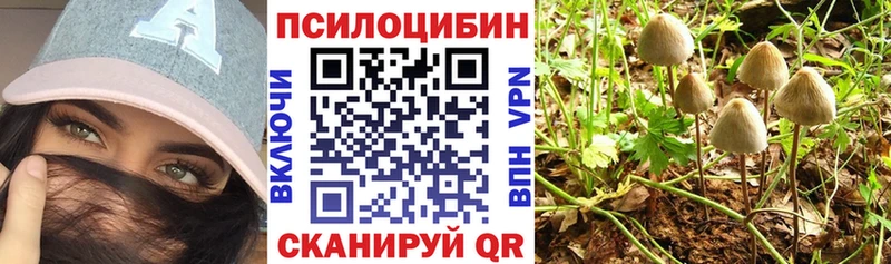 купить  цена  Междуреченск  Галлюциногенные грибы Cubensis 